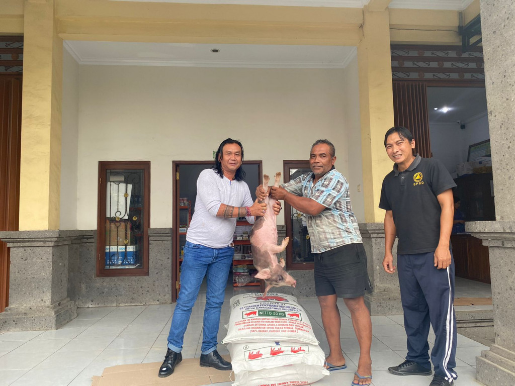 Pemerintahan Desa Petang Menyerahkan Bibit Babi dan Pakan untuk Masyarakat Desa Petang
